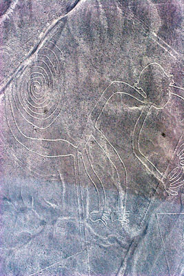 Nazca Lines